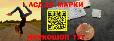 индика Ирбит