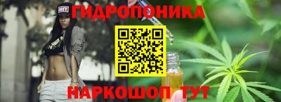 индика Ирбит