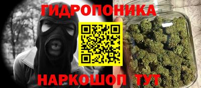 индика Ирбит