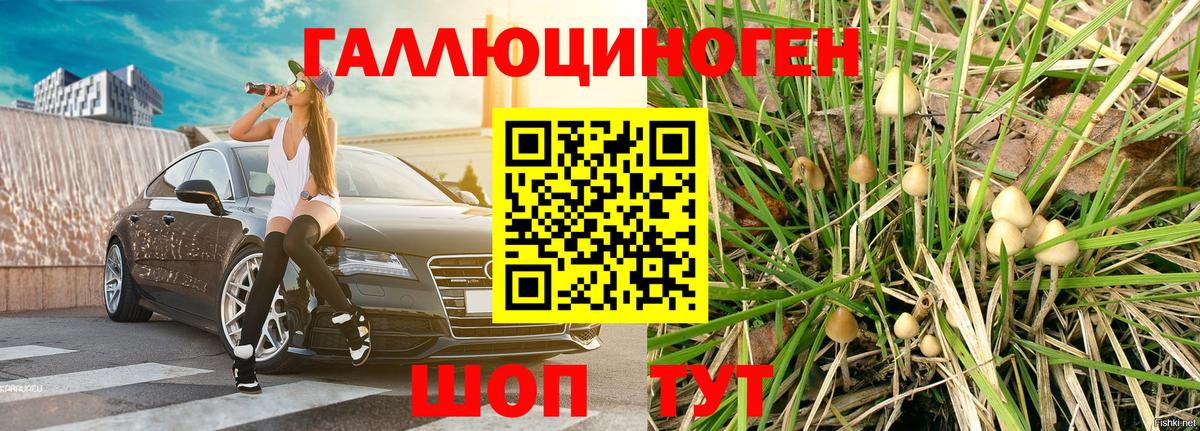 Галлюциногенные грибы Cubensis  магазин  наркотиков  Галлюциногенные грибы Magic Shrooms  Лесозаводск  Вход с VPN 